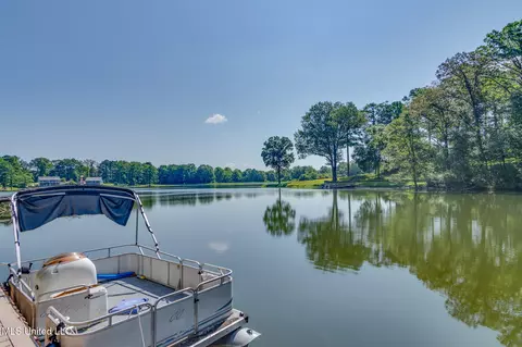 View/Area - 5344 Kahuna Cv, Hernando, MS 38632 photo 4 of 6