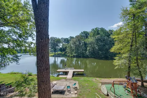 View/Area - 5344 Kahuna Cv, Hernando, MS 38632 photo 1 of 6