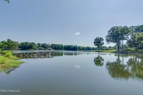 View/Area - 5344 Kahuna Cv, Hernando, MS 38632 photo 5 of 6