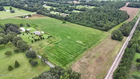 29 Acres Highway 613, Lucedale, MS 39452 photo 9