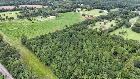 29 Acres Highway 613, Lucedale, MS 39452 photo 7