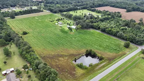 29 Acres Highway 613, Lucedale, MS 39452 photo 5