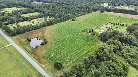 29 Acres Highway 613, Lucedale, MS 39452 photo 3