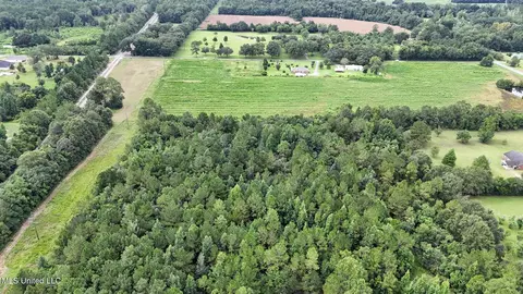 29 Acres Highway 613, Lucedale, MS 39452 photo 6
