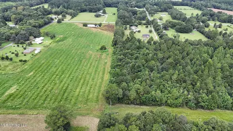29 Acres Highway 613, Lucedale, MS 39452 photo 8