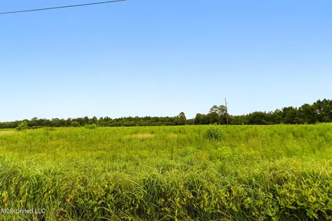 29 Acres Highway 613, Lucedale, MS 39452