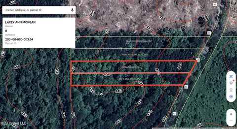 Smith County Road 63, Mize, MS 39116