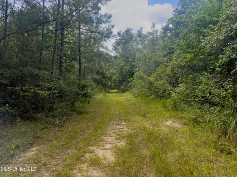 Silver Run-progress Road, Perkinston, MS 39573 photo 5