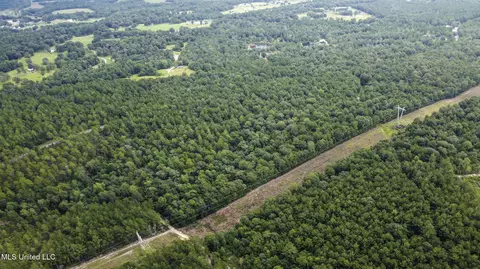 Silver Run-progress Road, Perkinston, MS 39573 photo 2