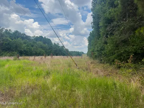 Silver Run-progress Road, Perkinston, MS 39573 photo 4