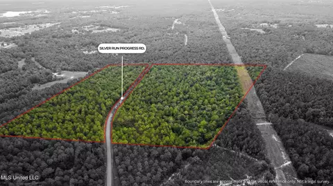 Silver Run-progress Road, Perkinston, MS 39573 photo 3
