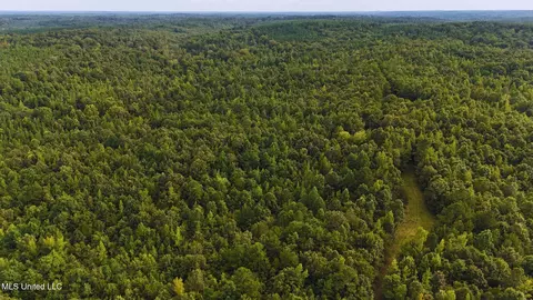 Cr 25, Eupora, MS 39744 photo 6