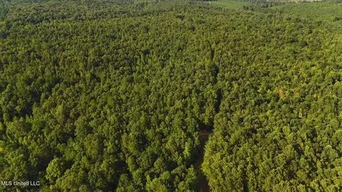Cr 25, Eupora, MS 39744 photo 3