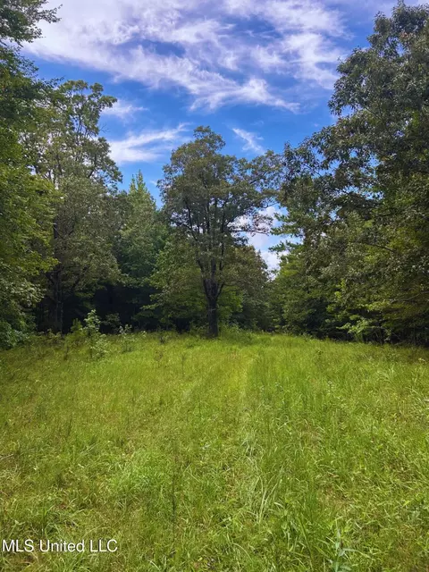 Cr 25, Eupora, MS 39744 photo 14