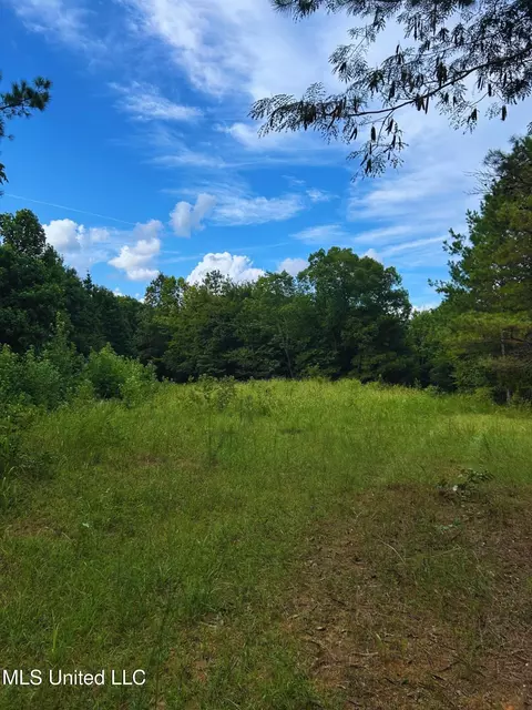 Cr 25, Eupora, MS 39744 photo 10