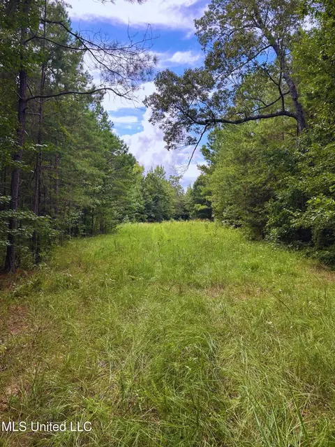 Cr 25, Eupora, MS 39744 photo 12