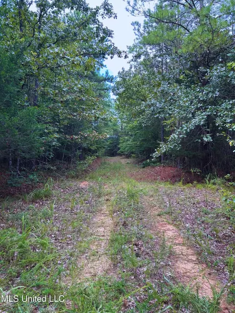 Cr 25, Eupora, MS 39744 photo 13