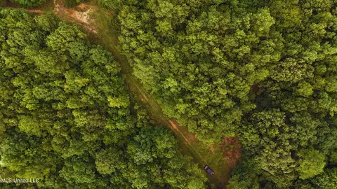 Cr 25, Eupora, MS 39744 photo 7