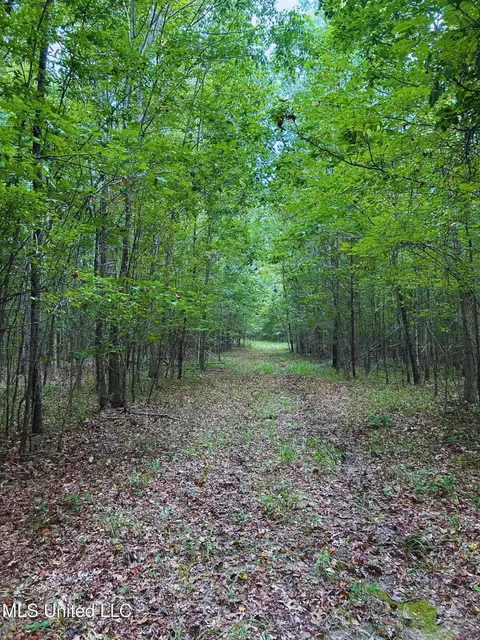 Cr 25, Eupora, MS 39744 photo 9