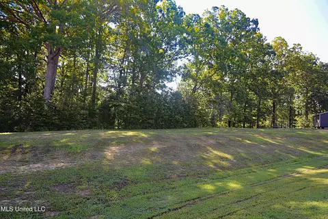 155 Oak Ridge Lakes Dr, Coldwater, MS 38618