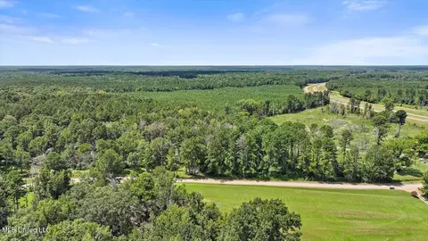 1842 Crawford Cir, Lena, MS 39094 photo 17