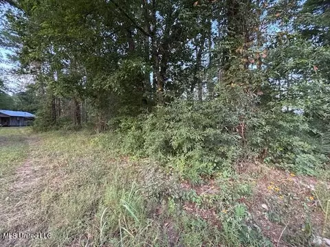 1842 Crawford Cir, Lena, MS 39094 photo 15