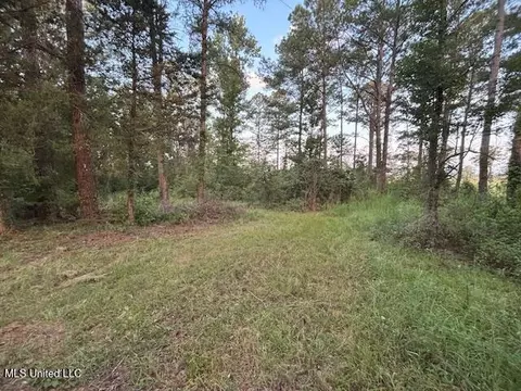 1842 Crawford Cir, Lena, MS 39094 photo 9