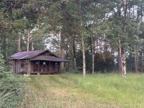 1842 Crawford Cir, Lena, MS 39094 photo 2
