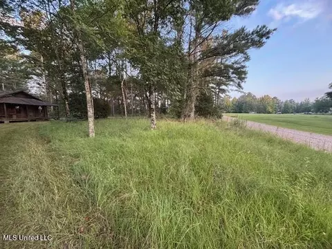 1842 Crawford Cir, Lena, MS 39094 photo 12