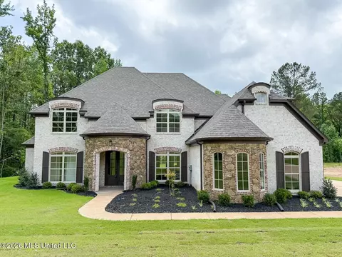427 Poplar Ln, Holly Springs, MS 38635