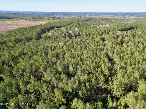 N Mississippi 43, Poplarville, MS 39470