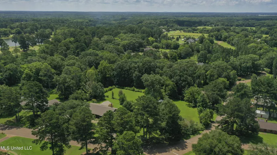 View/Area - 1618 Sunset Dr, Canton, MS 39046 photo 4 of 10