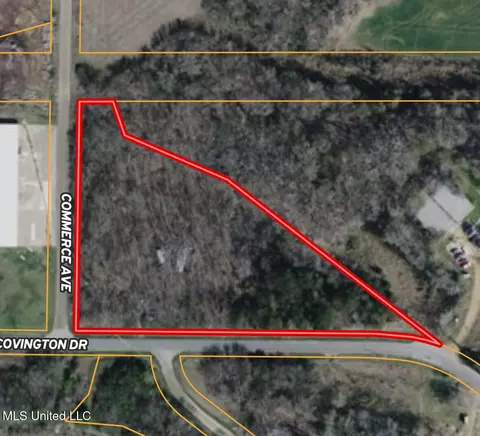 Covington Drive, Canton, MS 39046