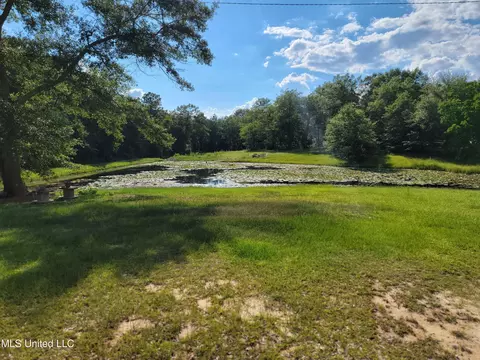 18320 Diamond Rd, Saucier, MS 39574 photo 23