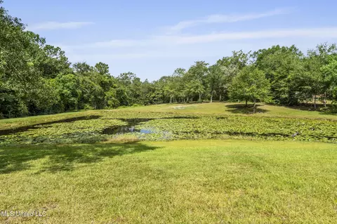 18320 Diamond Rd, Saucier, MS 39574 photo 21