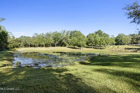 18320 Diamond Rd, Saucier, MS 39574 photo 34