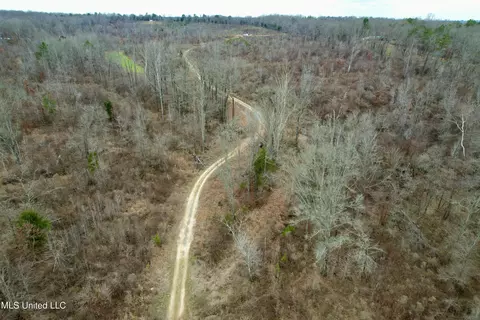 Abernathy Road, Flora, MS 39071 photo 7