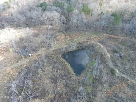 Abernathy Road, Flora, MS 39071 photo 3