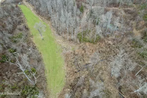Abernathy Road, Flora, MS 39071 photo 4