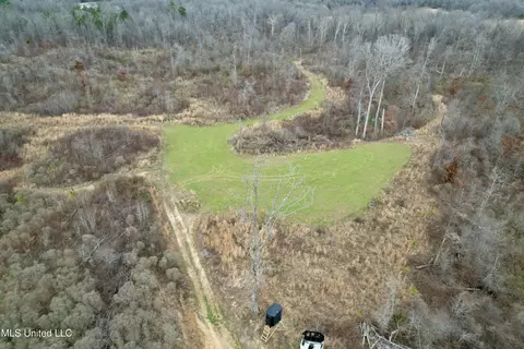 Abernathy Road, Flora, MS 39071 photo 5