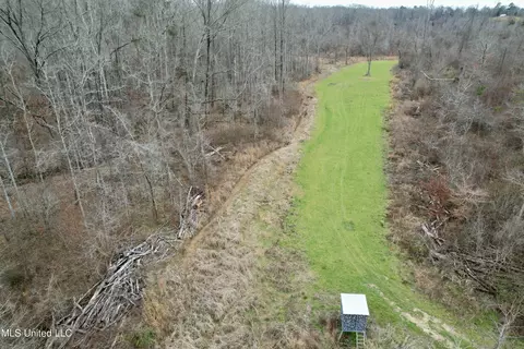 Abernathy Road, Flora, MS 39071 photo 8