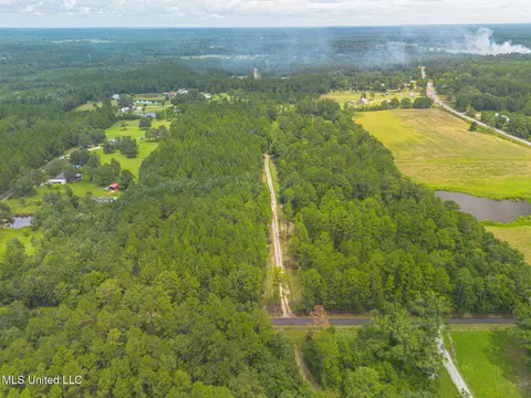 No Road 204, Saucier, MS 39574 photo 2