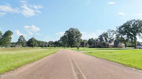 0 Levon Owens Dr, Terry, MS 39170 photo 6