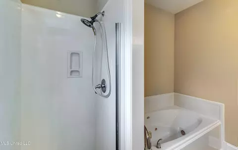 Bath - 218 Crescent Ridge Dr, Madison, MS 39110 photo 3 of 6