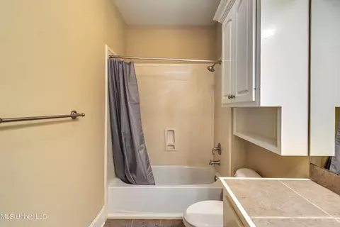 Bath - 218 Crescent Ridge Dr, Madison, MS 39110 photo 6 of 6
