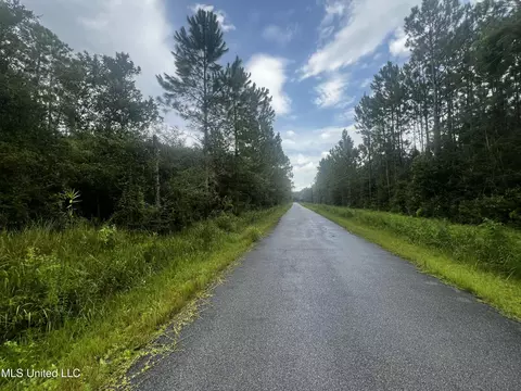 17 Ac Slash Pine Rd, Moss Point, MS 39562 photo 5