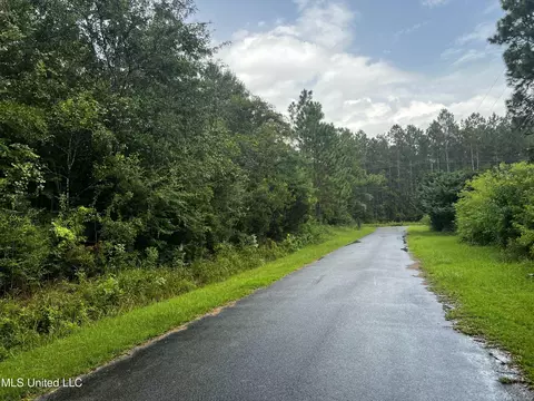 17 Ac Slash Pine Rd, Moss Point, MS 39562 photo 3