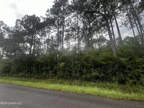 3 Ac Pollock Ferry Rd, Moss Point, MS 39562 photo 3