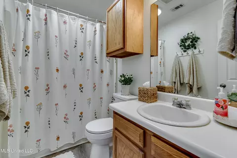 383 Audubon Cir, Brandon, MS 39047 photo 37