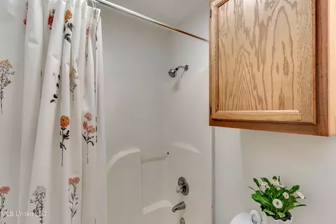 383 Audubon Cir, Brandon, MS 39047 photo 38